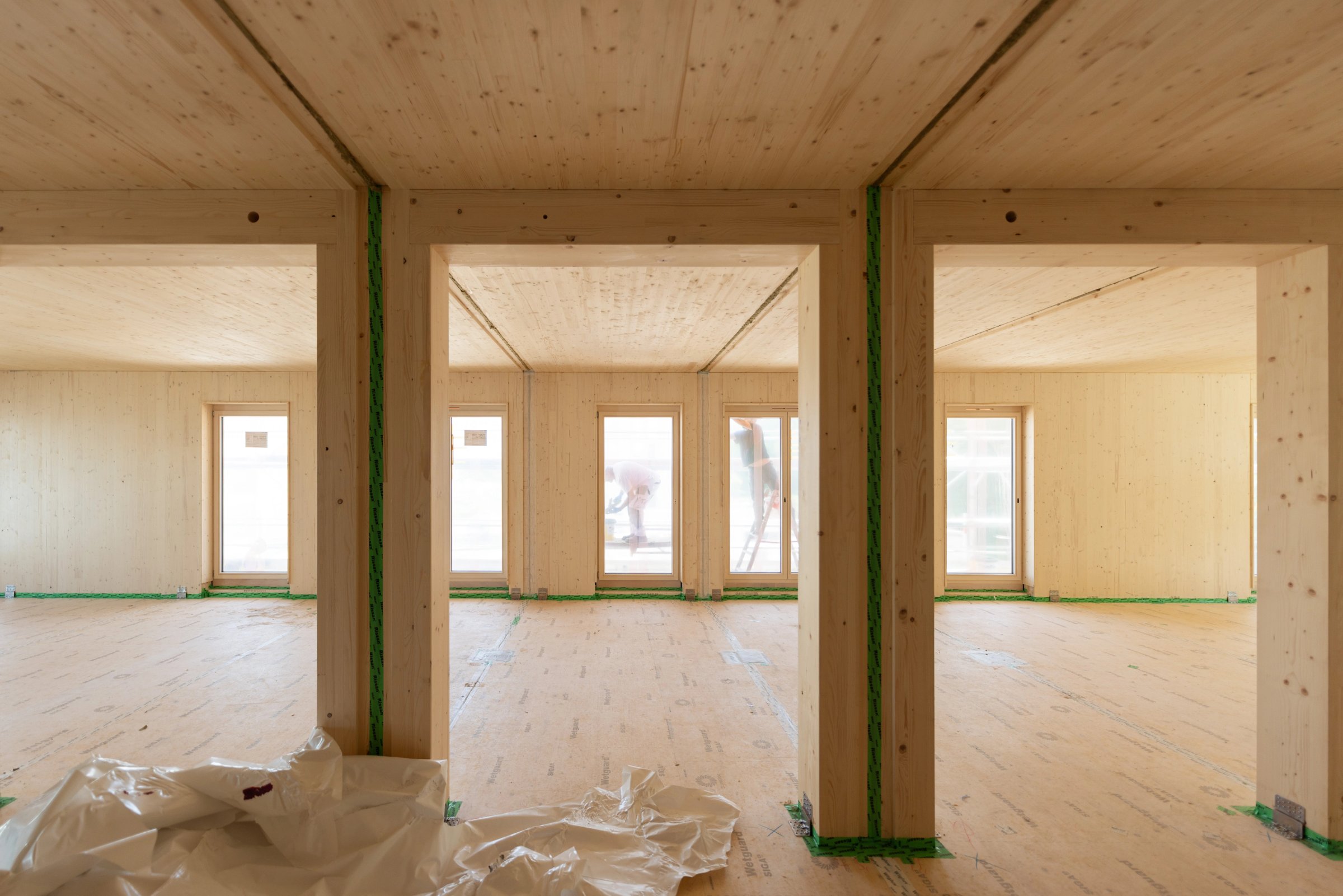 Woodscraper, 2025, ©Jan Rottler